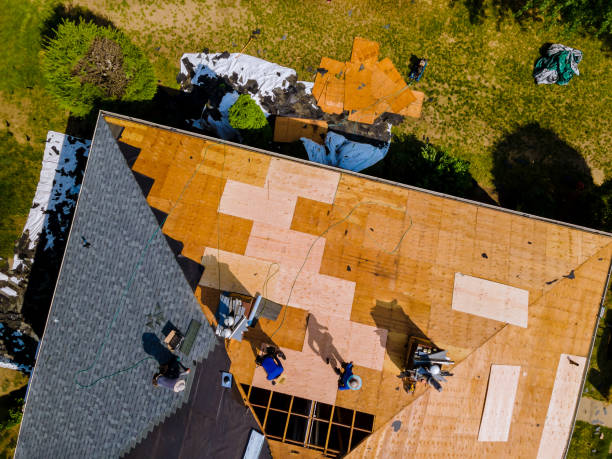 Best Roof Gutter Cleaning  in Candor, NC