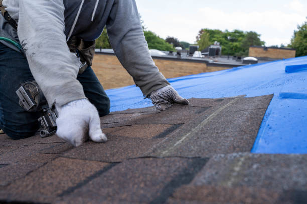 Best Metal Roofing Contractor  in Candor, NC